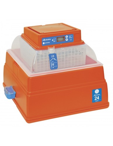 Incubatrice covatutto - covatutto, 24