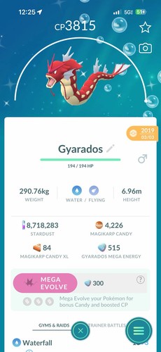 Shiny gyarados lvl extra - lvl, 50