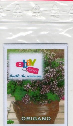 1000 semi origano - 1000, di