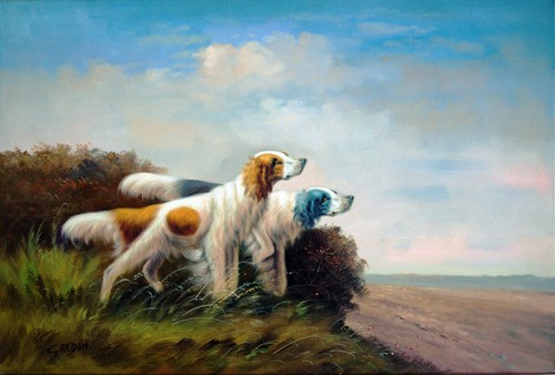 Cani caccia setter - caccia,