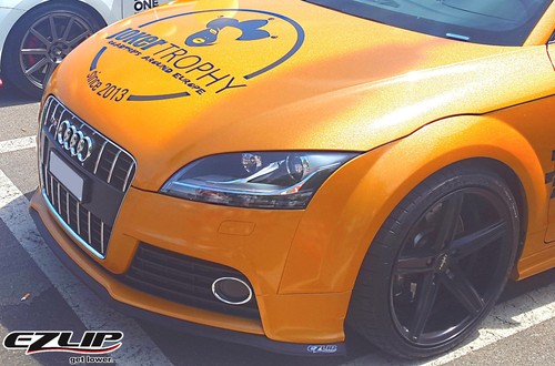Lip spoiler labbro - ez-lip,