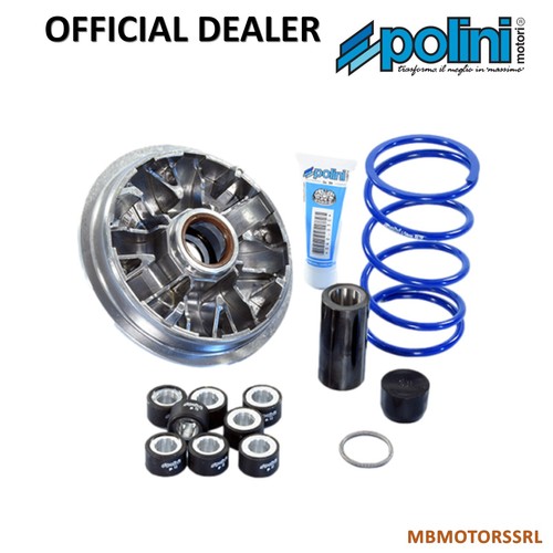 241 699 variatore - variatore, polini