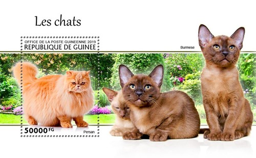 Francobolli gatti gatto - gatti,