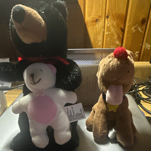 Lotto peluche orso - lotto, 2