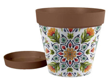 Vaso piante grasse - vaso, fiori