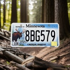 Targa Minnesota Scaduta