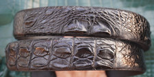 W 1.5 " - Black Real CROCODILE