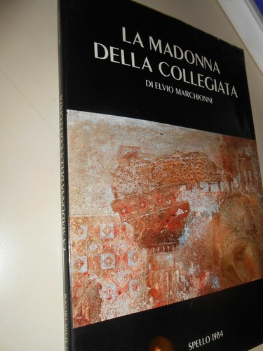 Libro madonna della - madonna,