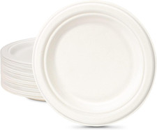 Piatti Usa E Getta, 100 Pezzi