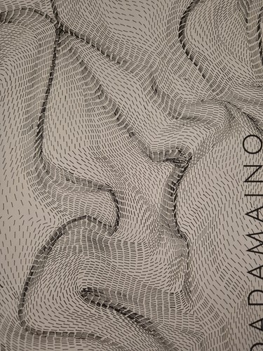 Dadamaino movimento delle - -,