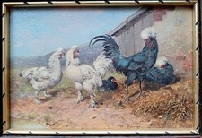 Appendino Max 1874 Monaco 1941 Fürstenfeldbruck pollo pollo ornamentale polli con cappuccio