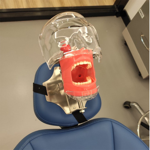 Simulatore manichino dentale