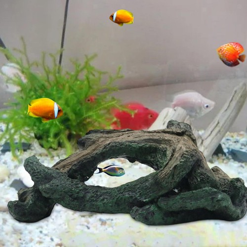 Accessori per terrari - , e