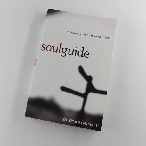 Soul guide following - soul,