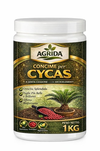 Concime cycas palme piante - concime,