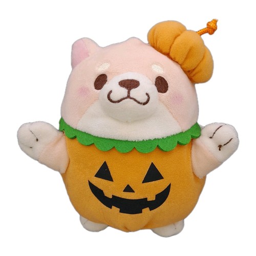Japan shiba inu - japan, 🐕