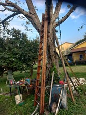 Scala Doppia In Legno