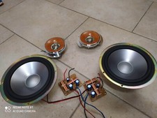 Woofer (16cm) +tweeter +crossover Originale SONY per audio costruzioni O Ricambi