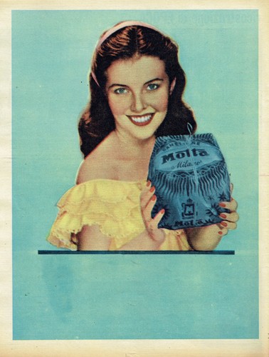 Motta panettone milano natale - motta,