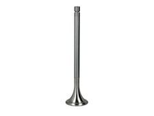Exhaust valve right (right)