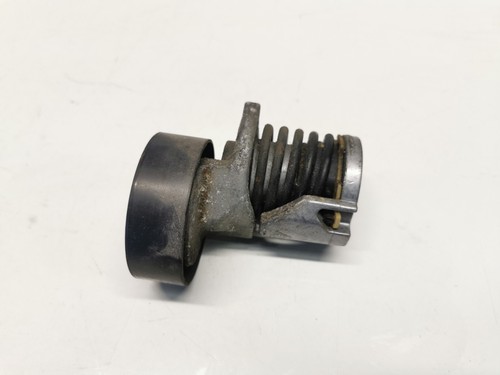 Tenditore cinghia alternatore - tenditore,