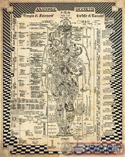 9788831937030 anatomiae - 9788831937030,