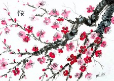 Quadri originali fiori di