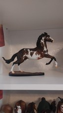 Breyer Marzapane LSQ Stock