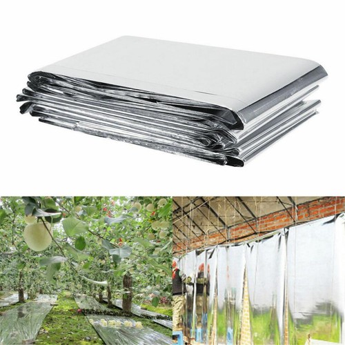 1pz pellicola copri - 1pz, parete