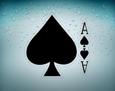 Autoadesivo Automobile