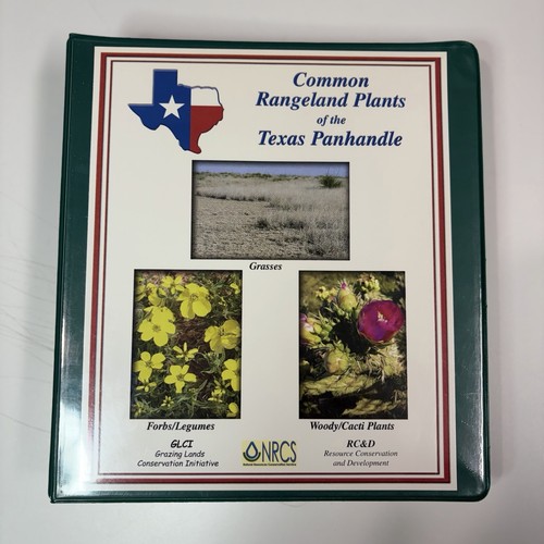 Common rangeland plants - rangeland, of