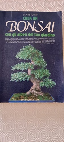 Liliane forest crea bonsai - liliane,