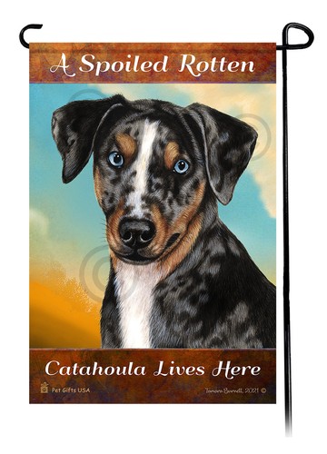 Catahoula cane leopardo
