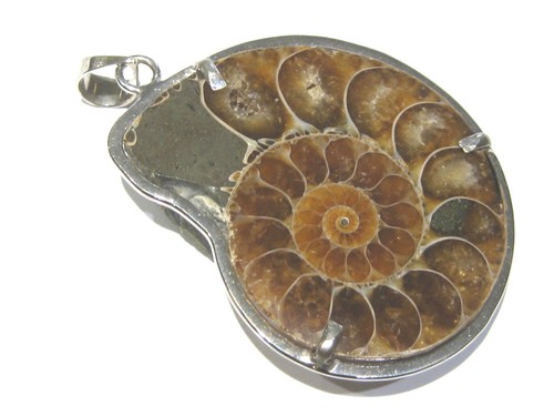 Ciondolo ammonite fossile - ammonite,