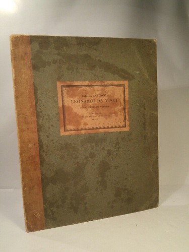 Tabula anatomica leonardi - anatomica,