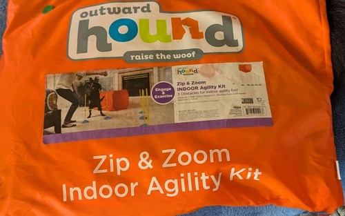 Outward hound indoor - indoor, agility