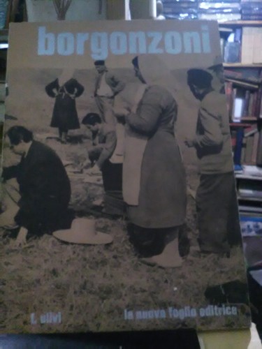 Ulivi borgonzoni nuova - f, la