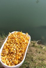 Saccone 3,5,7,10kg MAIS