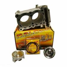 3113687 GRUPPO TERMICO