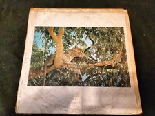 LION RECORD -  Vinyl MIX