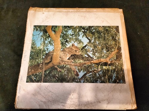 Lion record vinyl - vinyl, mix