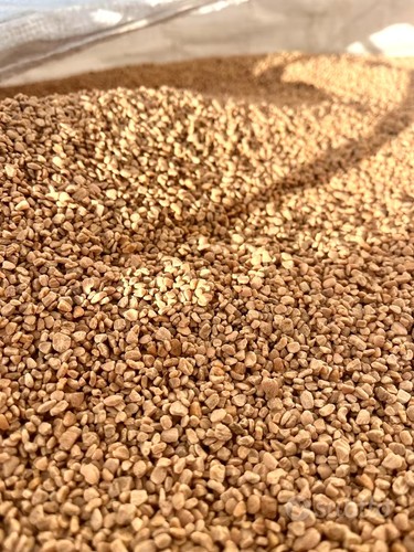 Nocciolino sansa vergine - di,