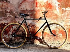 Bicicletta da Uomo Legnano Restaurata Freno Contropedale