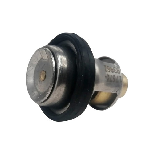 Termostato motore fuoribordo