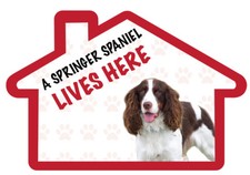 A SPRINGER SPANIEL Lives Here