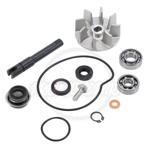 Kit riparazione guarnizione
