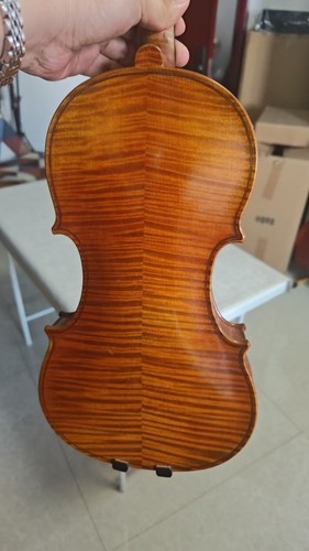 Violino guarneri modello 4 - violino,