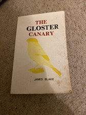 The Gloster Canary 