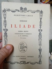 Omero Iliade Libro Sesto