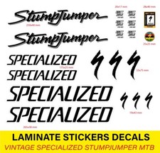 Stumpjumper resto bike frame